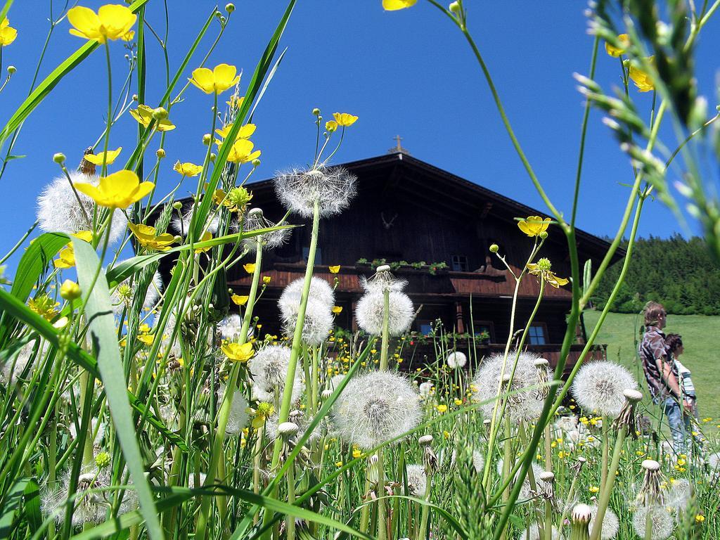 Pension Luzenberg Auffach Exteriér fotografie